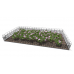 Madagascar Periwinkle Flower Bed, Steel